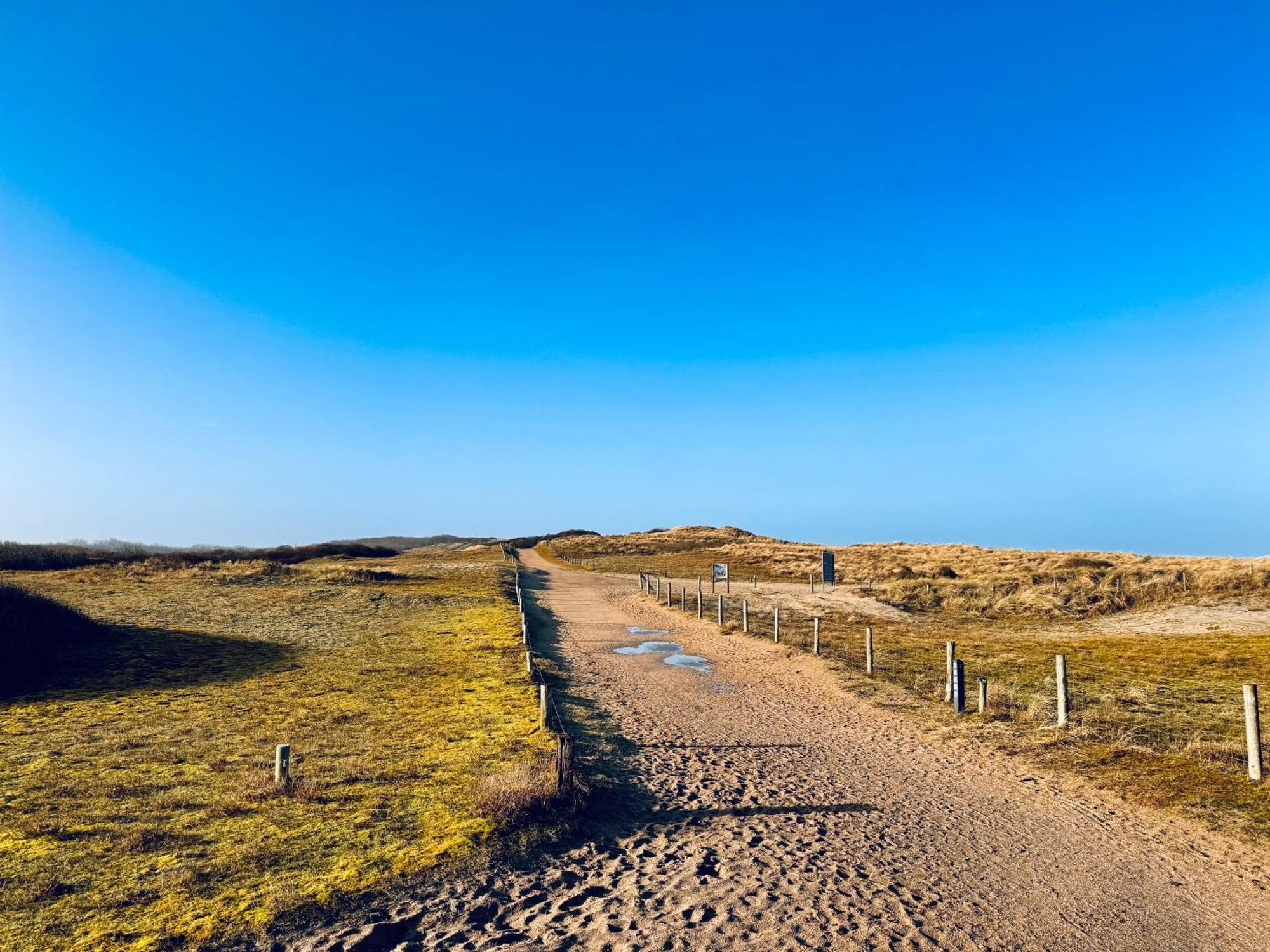 Beach & Forest Retreat -Domburg- Oostkapelle Dış mekan fotoğraf