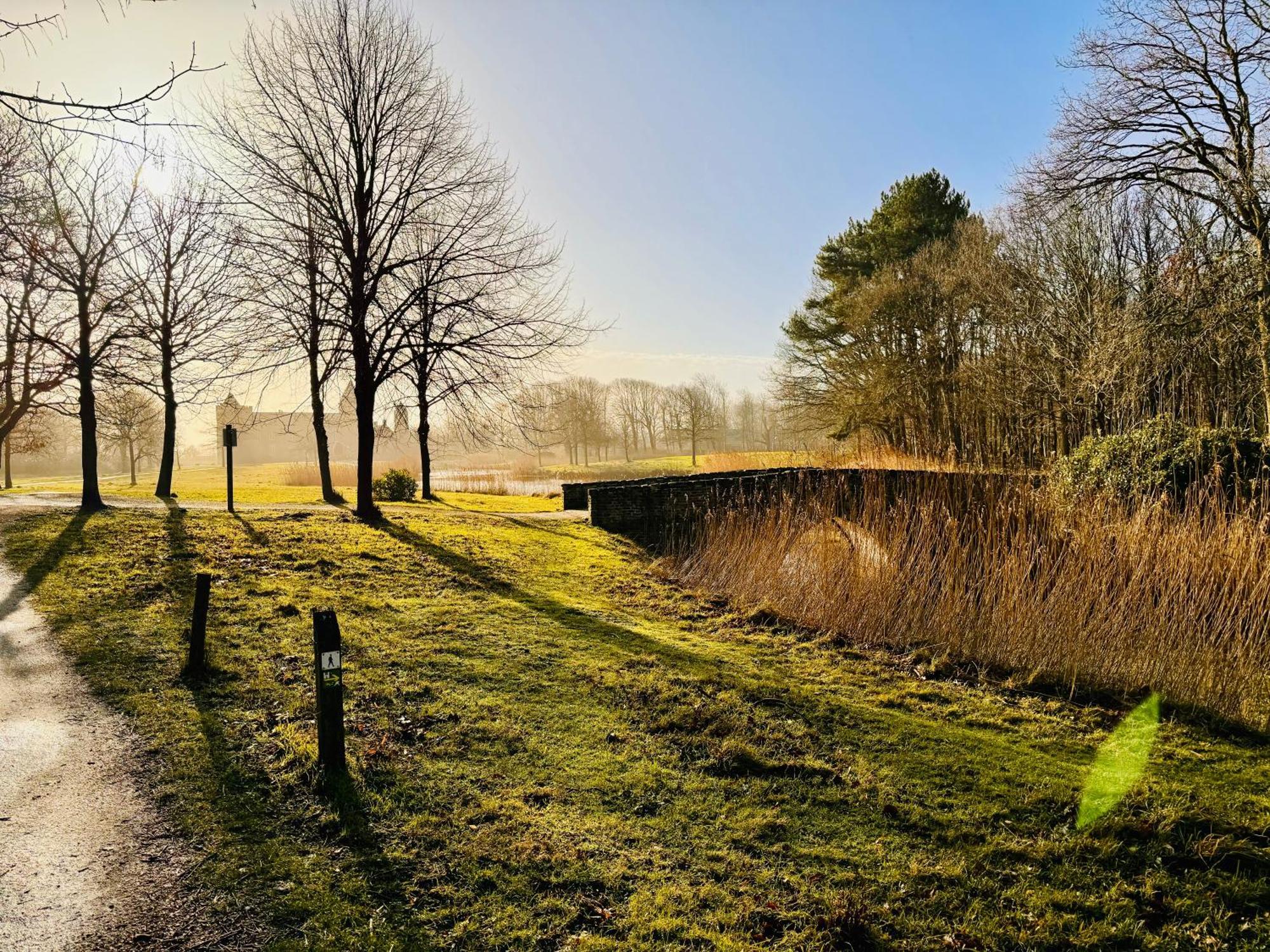 Beach & Forest Retreat -Domburg- Oostkapelle Dış mekan fotoğraf