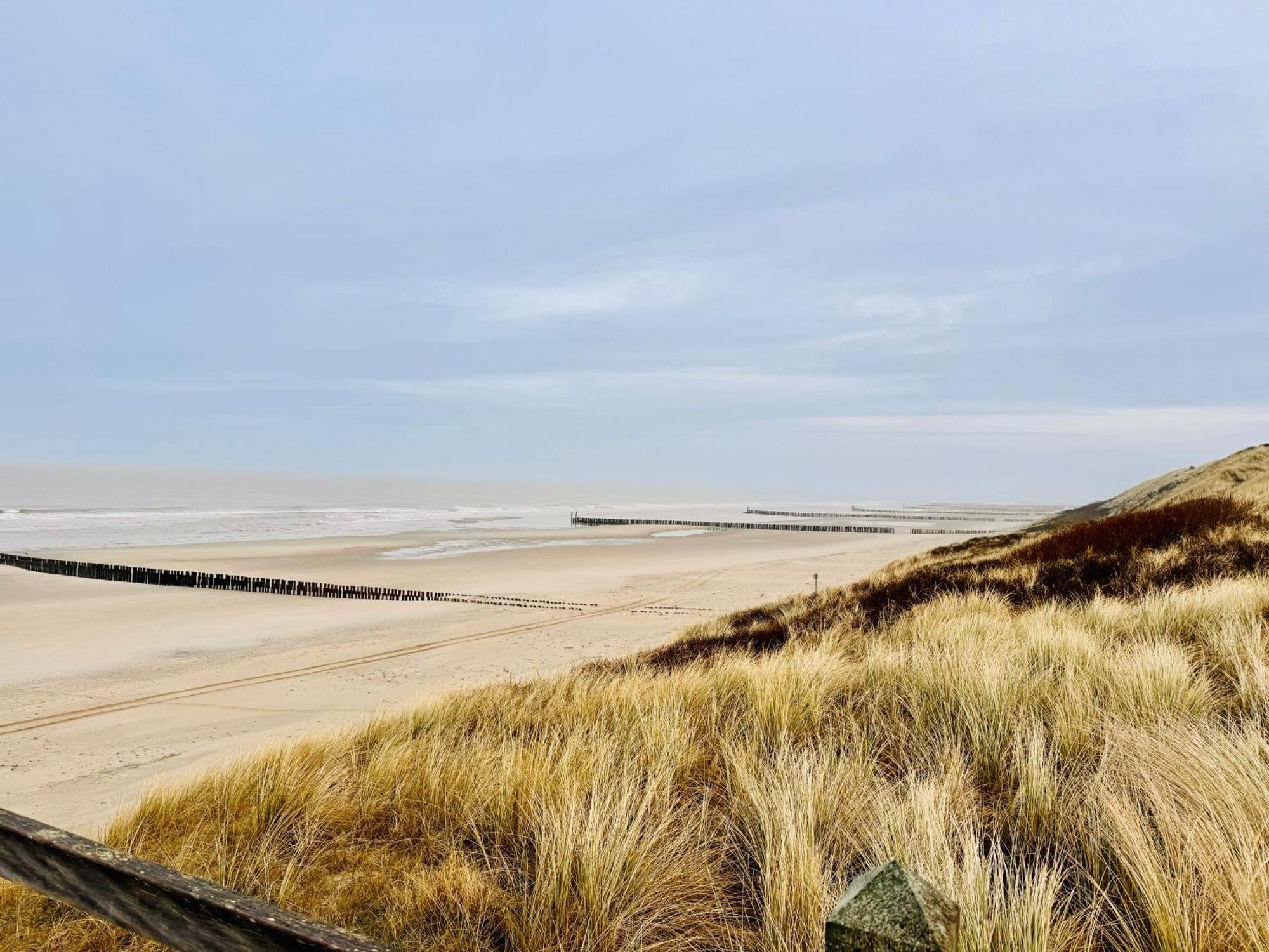 Beach & Forest Retreat -Domburg- Oostkapelle Dış mekan fotoğraf