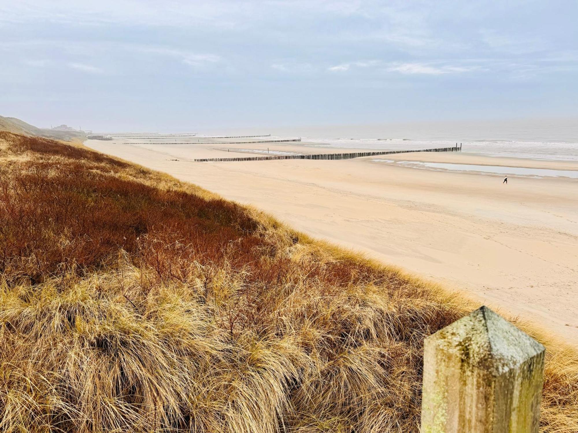 Beach & Forest Retreat -Domburg- Oostkapelle Dış mekan fotoğraf