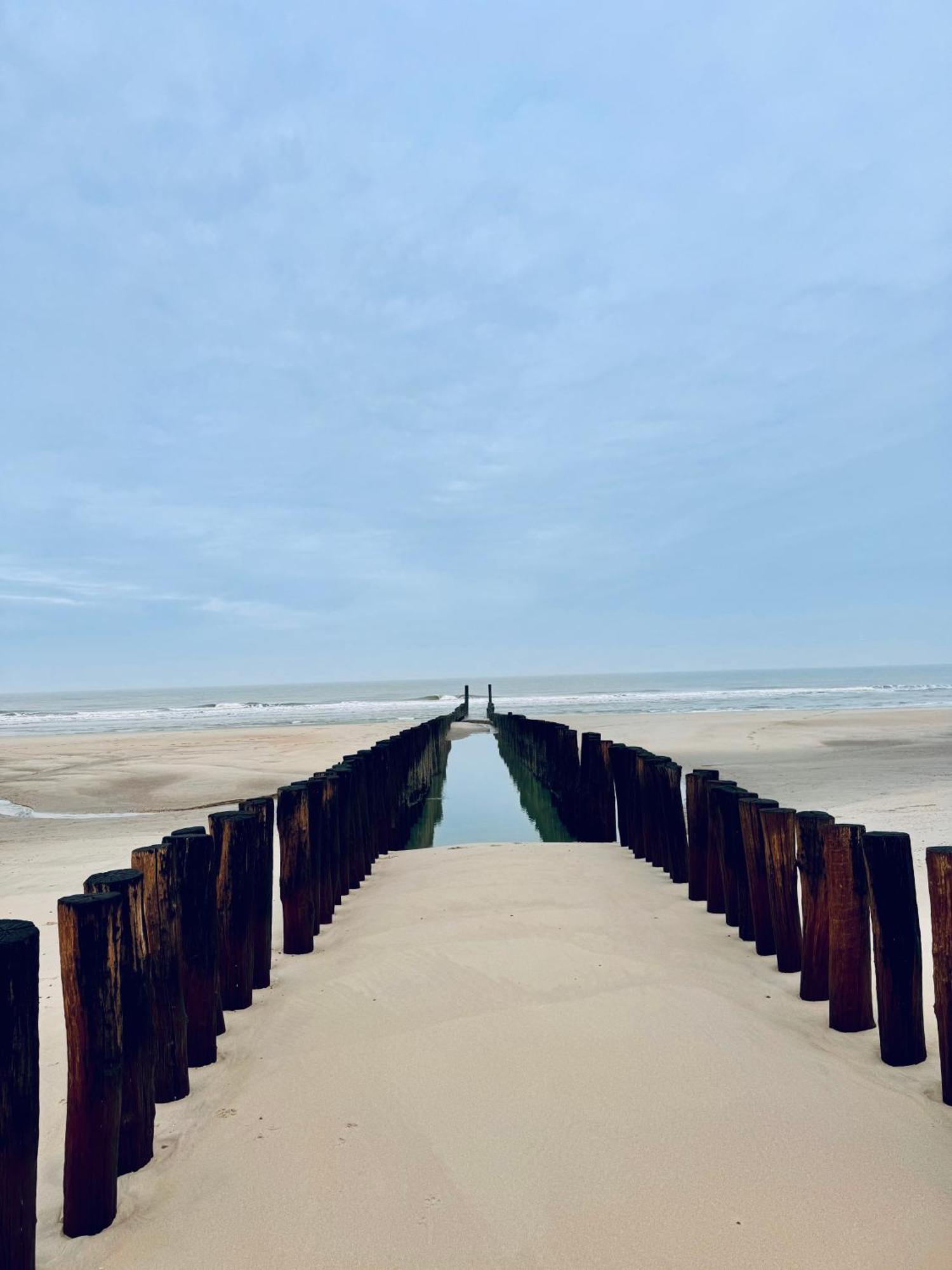 Beach & Forest Retreat -Domburg- Oostkapelle Dış mekan fotoğraf