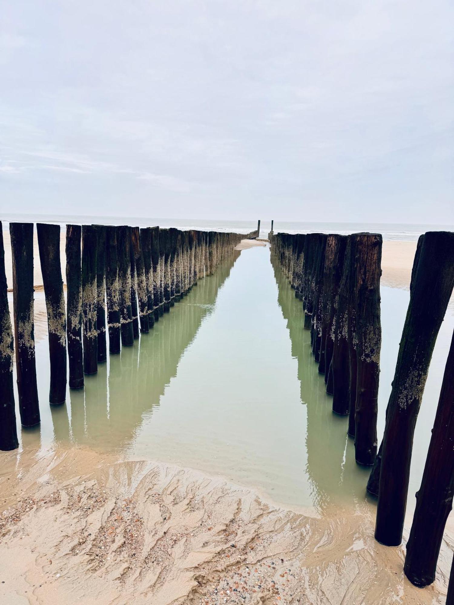 Beach & Forest Retreat -Domburg- Oostkapelle Dış mekan fotoğraf