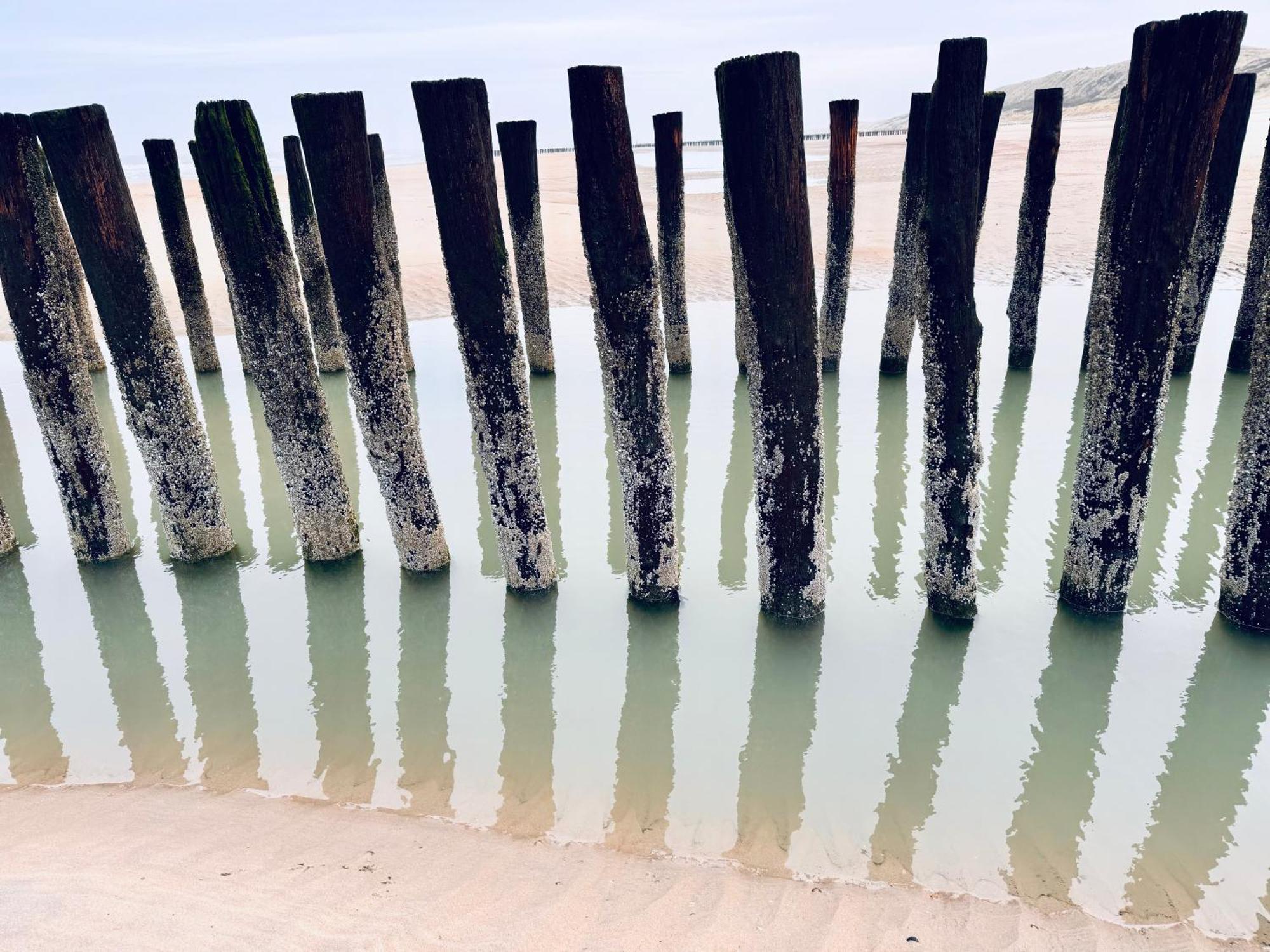 Beach & Forest Retreat -Domburg- Oostkapelle Dış mekan fotoğraf
