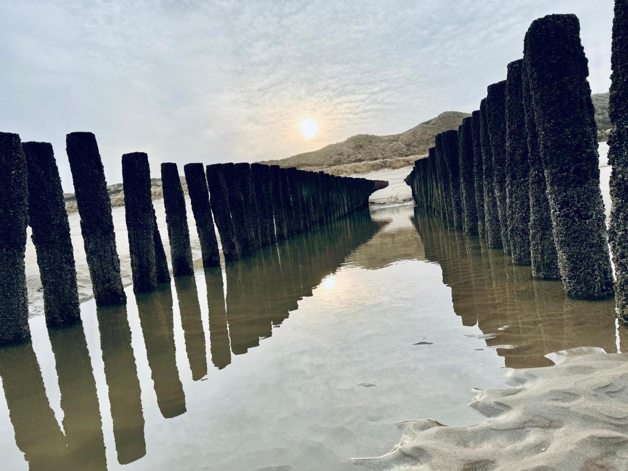 Beach & Forest Retreat -Domburg- Oostkapelle Dış mekan fotoğraf