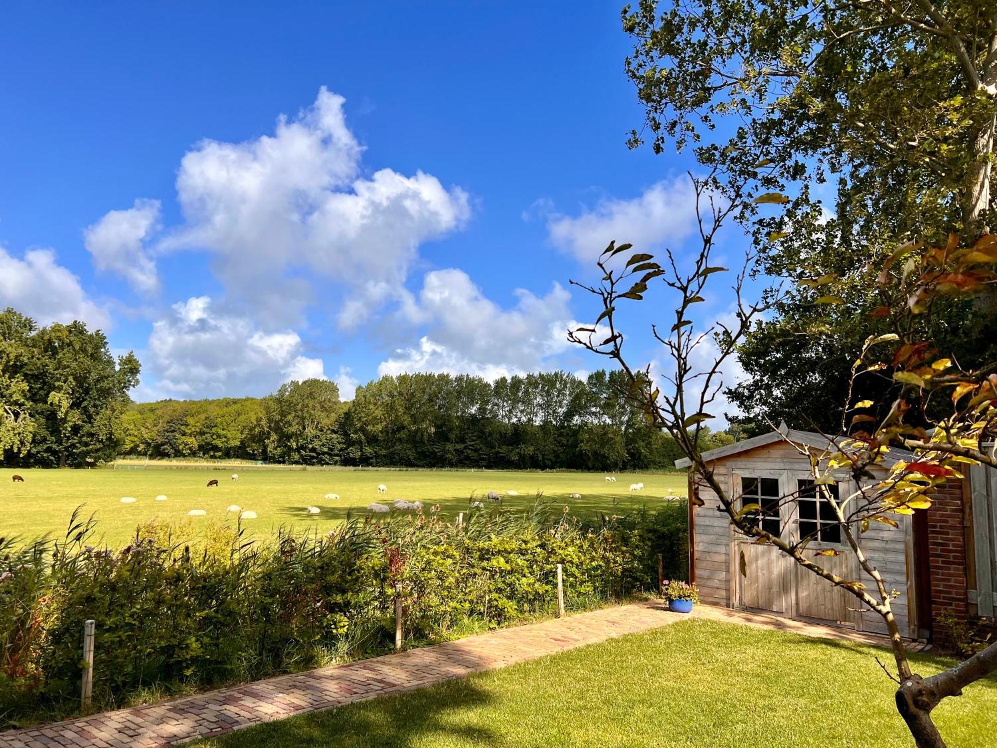 Beach & Forest Retreat -Domburg- Oostkapelle Dış mekan fotoğraf